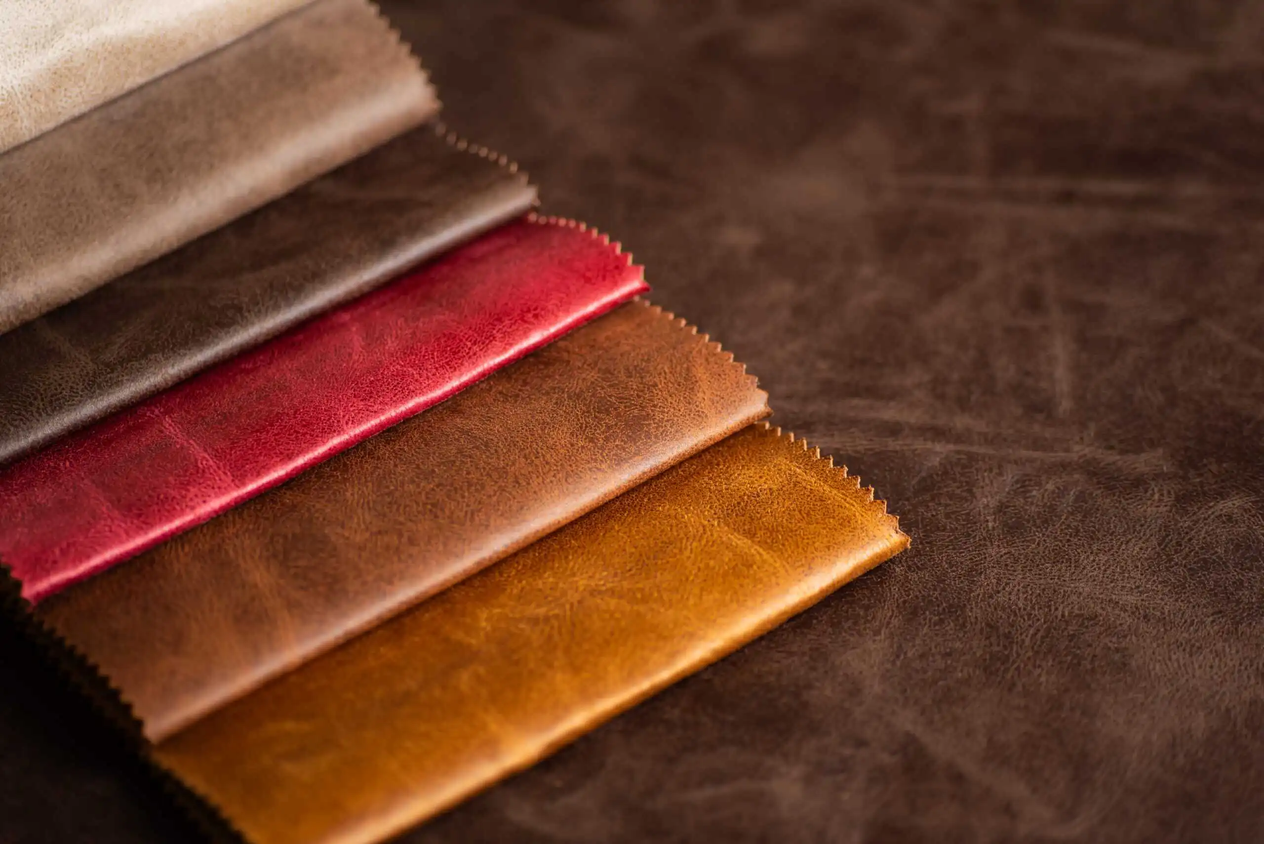 USF Materials Leather scaled